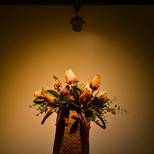 Arcfox H Type Led Track Light Head 9W 3000K Warm White Multi Adjustable Angle 3 Wire Single Circuit Dimmable Track Lighting For Kitchen Dining Room Wall Art Exhibition (6 Pack, White) #TOP5