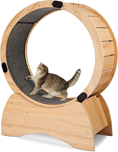 Cat Exercise Wheel for Indoor Cats: 39 Inch Large Cat Treadmill - Spinning Scratching Fun Running Wheel with Locking Mechanism - Loss Weight Device