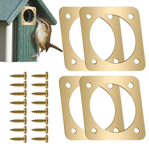 Grille de protection pour nichoir en métal, accessoires pour nichoirs | Protection contre les écureuils et les pics avec vis, protection de trou robuste pour maison d'oiseau bleu