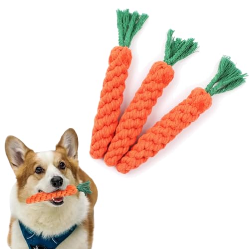 VPbao Lp Rbg[v jW^ ނ  f^PA XgX ^ Lp