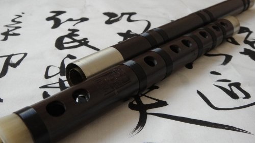 Orientalmusicsanctuary Professional Recovered Aged Rosewood Chinese Flute Dizi With Usa- Based Warranty (Key Of D) #TOP3