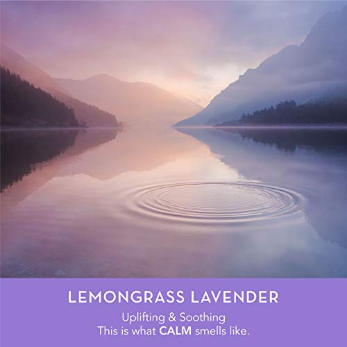 Dani Natural Nourishing Conditioner Naturals - Organic Ingredients Hydrate & Strengthen Hair - Sulfate, Phthalate & Paraben Free - Vegan & Cruelty Free - 12 Ounces (Lemongrass Lavender) #TOP2