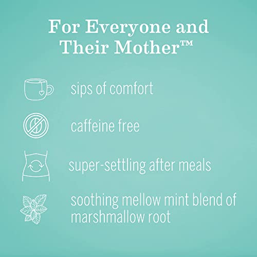 Earth Mama Organic Heartburn Tea | Pregnancy-Safe Soothing Herbal Blend With Marshmallow Root, Lemon Balm & Chamomile, 16 Teabags Per Box #TOP2