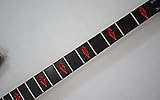 GuitarCustom
