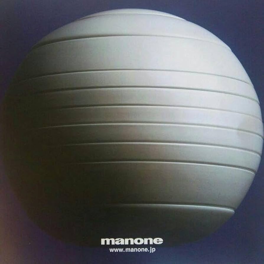 有田焼 月の皿 マノーネ manone 有田焼 月の皿 マノーネ manone