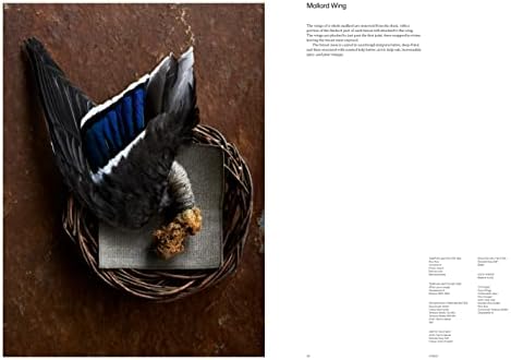 Noma 2.0: Vegetable, Forest, Ocean