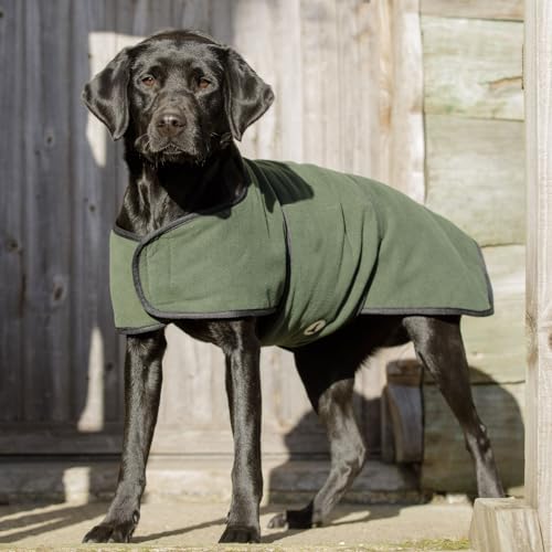 Image of Dog & Field Duel Layer Towelling Coat, Olive Green, XXL