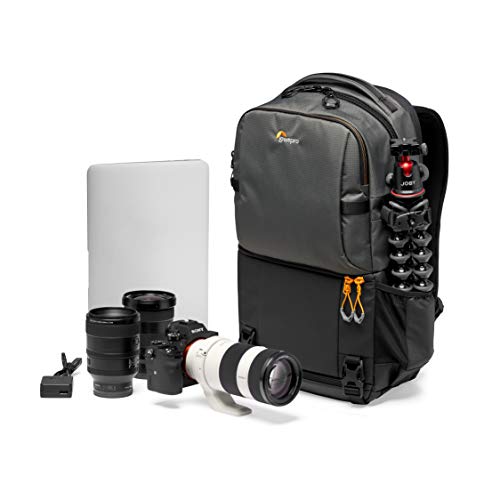 Ficha técnica Lowepro Fastpack BP 250 AW III Mochila para Cámara Reflex DSLR Sin Espejo con Acceso QuickDoor Compartimento Para Portátil de 13 Para Cámaras Nikon D850 300D Ripstop Color Gris - Fernando Cortés