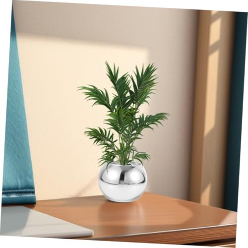 Composition terrarium de qualité supérieure en vase de verre - 7