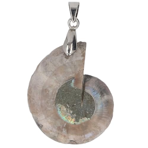 ネックレス アンモナイト 化石 ペンダント」の人気商品一覧 | 安い商品