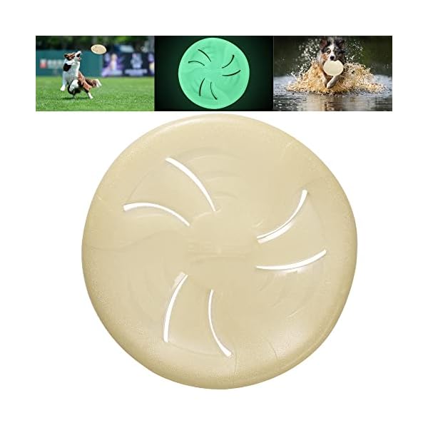 Lightweight Dog Catch and Fetch Toys