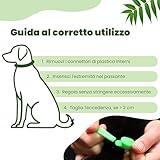 CAMON B00D8IA4IE lato 4