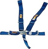 RCI 9210C Blue 5-Point Harness