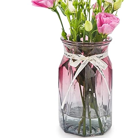 OFFIDIX Gradient Multicolour Glass Vase Cover