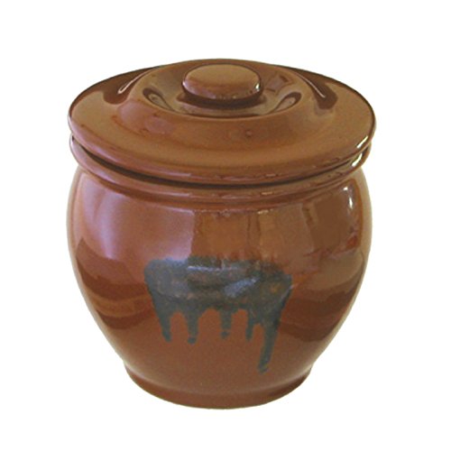 陶器製 漬物 容器 ミニ壷 蓋付 0.9L