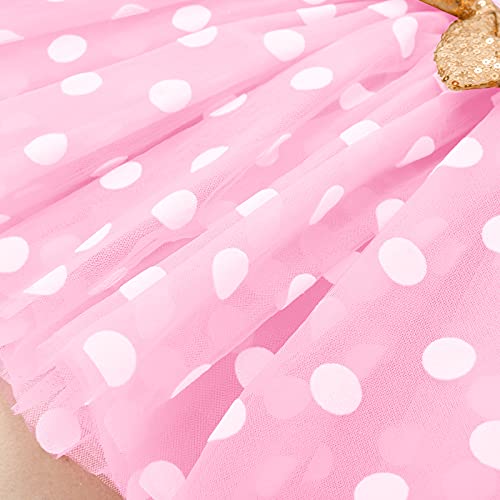 Winter Birthday Outfit Girl My First Birthday Mini Dress Up Cake Smash Outfit Baby Tulle Tutu Skirt Autumn Long Sleeve Mouse 1St Birthday Party Supplies 1 Year Old Photo Props Polka Dots Dresses Pink #TOP4