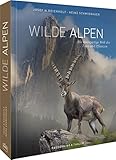Bildband – Geheimnisvolle Alpen: Die einzigartige Welt ihrer Tiere und Pflanzen in eindrucksvollen Naturfotografien. Ein Buch über die faszinierende Vielfalt der Wildtiere in der alpinen Natur. - Prof. Dr. Josef H. Reichholf Fotograf: Heinz Schmidbauer 