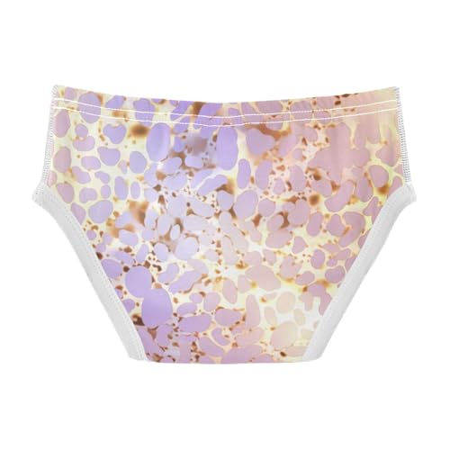 KLL Holographic Leopard Print on Gradient Copper Baby Boys Cotton Underwear Cute Children Undies2