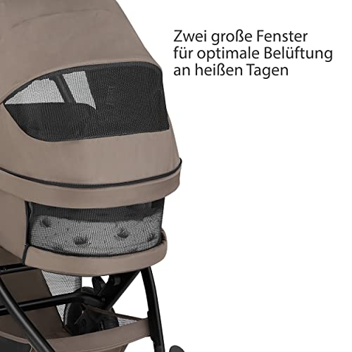 ABC Design 2in1 Kinderwagen Salsa 4 Air Starter Set - Kollektion 2023 – Kombikinderwagen für Neugeborene & Babys – Set inkl. Sportsitz, Babywanne & Zubehör – höhenverstellbares Kopfteil - Farbe: cream