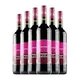 Bodegas y Viñedos Castro Ventosa