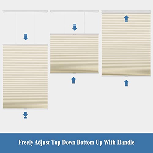 Pumkust Custom Size Cordless Top Down Bottom Up Cellular Shades For Windows(Fits Windows22-68), Light Filtering Blinds With The Diameter Of 1.5" Honeycombsfor Home, Thermal Insulated, Beige #TOP3