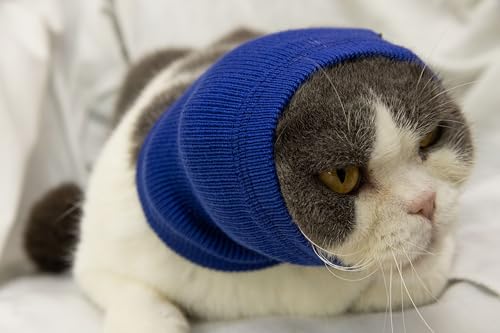 Image of Cat Head Cover Ear Wrap Pinpoint Mesh Neck Cowl Cat Grooming Headband Snood for cat Purple+Blue S