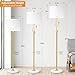 【Upgrade】Gold Floor Lamps for Living Room, 55