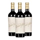 ✅ ANÁLISIS SENSORIAL: El vino tinto Jesús Yllera tiene un color rojo cereza picota intenso con lágrima tintada. La nariz es explosiva con una combinación de frutas negras maduras, (ciruela, mora, arándanos...), con intensas notas de vainilla, cacao, regaliz y tonos tostados, junto a otros matices especiados y minerales. En boca es potente y goloso, con una acidez y frescura. El final es largo y elegante