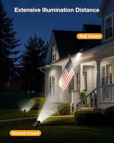 View 4
