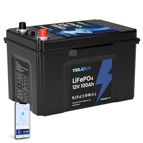 YOLIQUE 12V 100Ah Self-Heating Battery