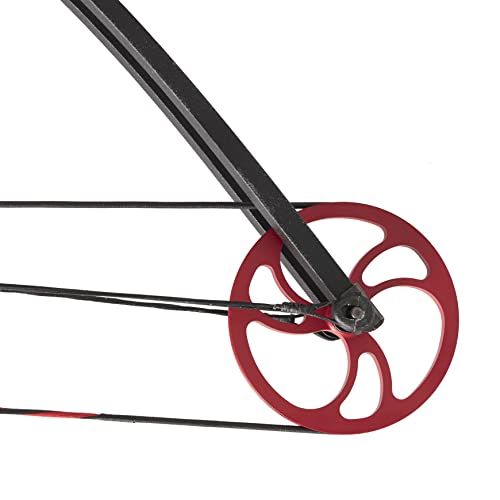 Genesis Original Bow Archery Kit, Right Hand,Black #TOP7