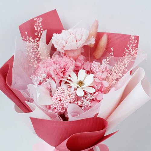 NX}XMtg i[Yu[P o^CE̓EƏjɍœK ỉ hCt[ ӂԑ ([J[l[V)