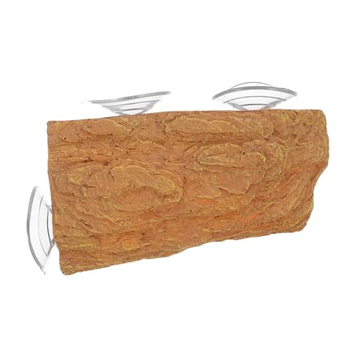 FUTUREORYY E~Kp   p  v   ݒu  XΕt 