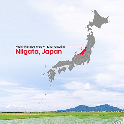 Iris Usa, Inc. Koshihikari From Niigata, Japanese Premium Short Grain White Rice, Product Of Japan, 3 Lbs. #TOP3