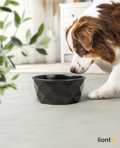 lionto Futternapf aus Keramik mit rutschfestem Silkonboden, 1900 ml, Hundenapf aus robustem & geruchsneutralem Material, leicht zu reinigen, ergonomisches Design, Wassernapf für Hunde&Katzen, schwarz