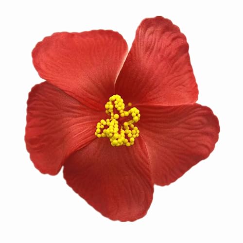 Forestmistry Red Hibiscus Heads