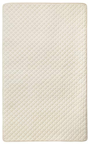 farska(�t�@���X�J) �ȃp�C���~���p�b�h (90x150cm) �A�C�{���[ FLAGSHIP LINE