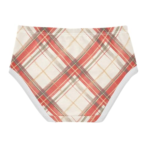 GuoChe Brief Panties All Seasons Panties Organic Cotton Toddler Underwear for Kids in Sizes 2T,3T, 4T, 5T, 6Y and 8Y2