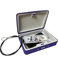 Amazon.com: SEPOX® Water/Fire-Resistant Portable Security Case