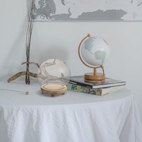 Dôme en verre et base bois cadeau idéal pour valoriser les souvenirs - 6