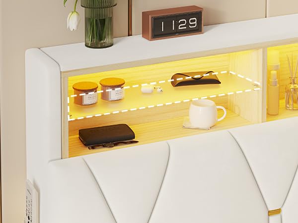 https://m.media-amazon.com/images/I/41SwnZRDeaL.jpg