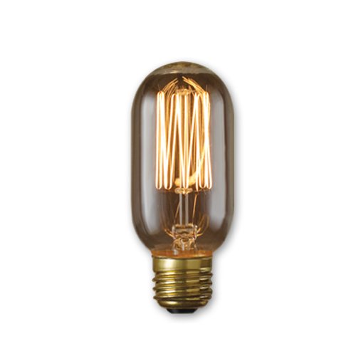 Bulbrite Incandescent T14 Medium Screw Base (E26) Light Bulb, 1 Count (Pack Of 1), Antique #TOP23