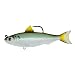 LiveTarget BBS116MS703 Blueback Herring Jointed Bait, Saltwater, 4 1/2", 6/0 Hook, Medium/Slow Sinking Speed, Green/Bronze