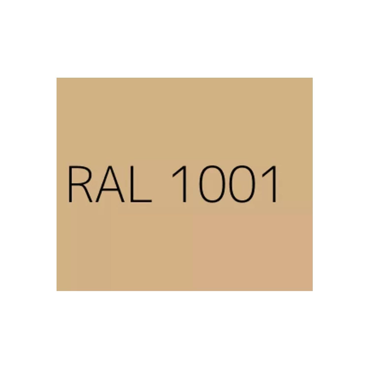 Resina epoxi satinada para azulejos y superficies, fácil aplicación, 12 m² (Epofix Coat) (RAL1001, 1 kg)