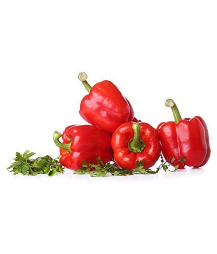 Jioo Organics Red Capsicum Seeds Shimla Mirch Seeds Sweet Bell Pepper Seeds (20-25 seeds) (B09LYHP6XN) Amazon Price History, Amazon Price Tracker