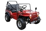 125CC Willys GO Kart | Venom | 125CC COOLSTER GO-Kart for Children, Young Adults | RED