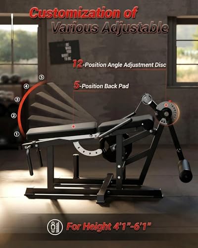 Máquina ajustable para extensión de piernas con banco miniatura 5