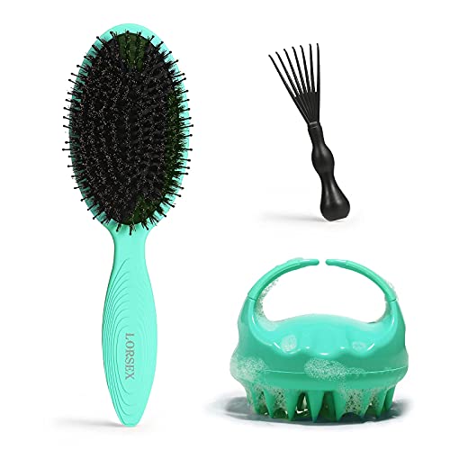 LORSEX Hair Brush, Boar Bristle Hair Brush and Shampoo Brush for Women Men and Kids Nylon & Boar Bristle Brush for Thick Fine Curly Thin Hair Scalp Massager Shampoo Brush Wet and Dry Hair Scalp Brush with Soft Silicone