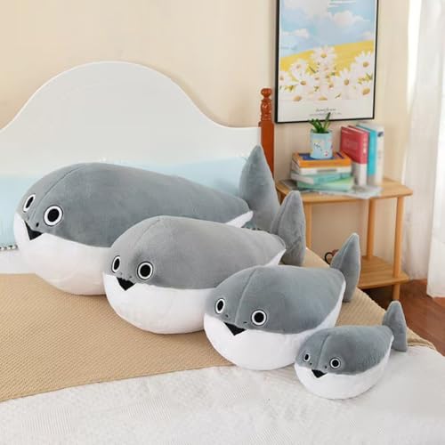 TJooXsX  NbV ʂ CmNbV  傫ʂ  킢 O[ ӂӂ TJooXsX Q 蕨 a j X 30cm