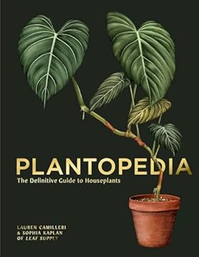 Top Indoor Plants That Will Transform Your Space Forever 3 best indoor plant to have